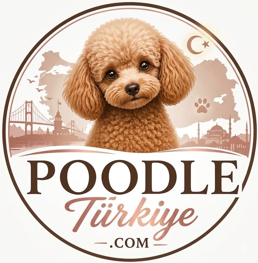 poodle turkiye logo